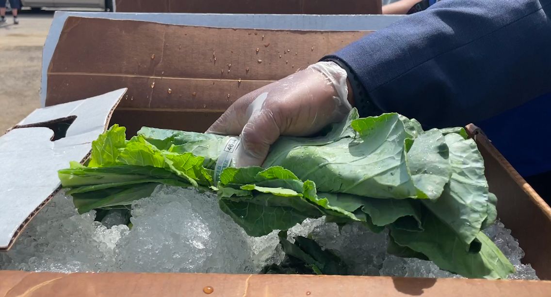 Cleveland and partners host monthly free produce popups